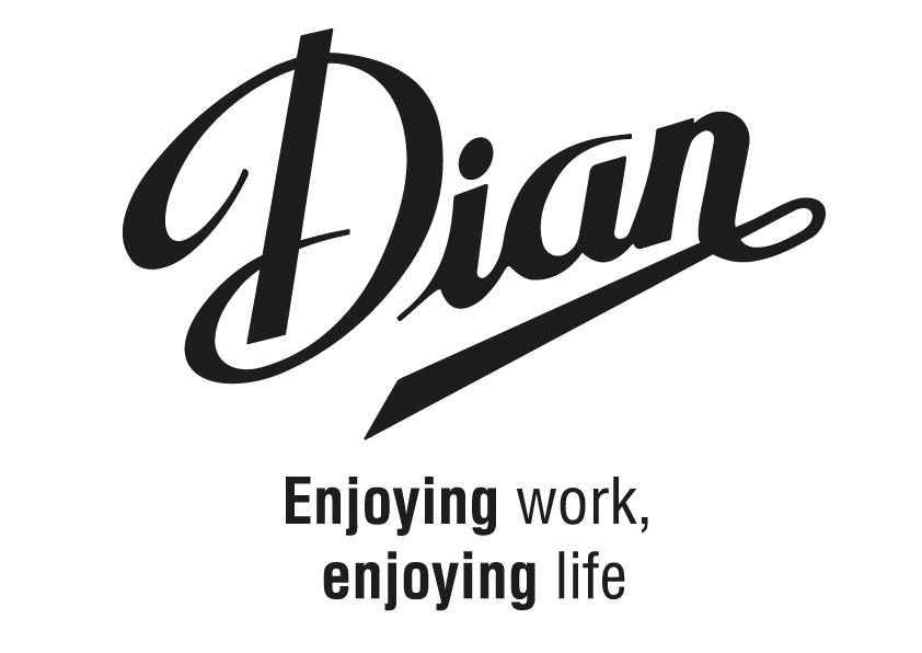 DIAN skridsikre arbejdssko til service og pleje